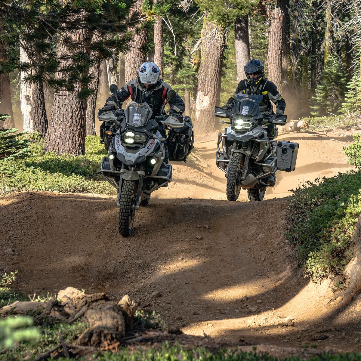 Riders Welcome